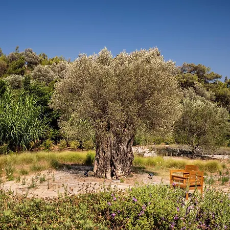 Bodroombnb Fully Private In Yalikavak For 20 Guests ,2 Pools & Botanical Garden Ideal For Events, Families & Friends Villa *