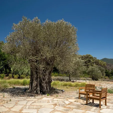 Villa Bodroombnb Fully Private In Yalikavak For 20 Guests ,2 Pools & Botanical Garden Ideal For Events, Families & Friends *